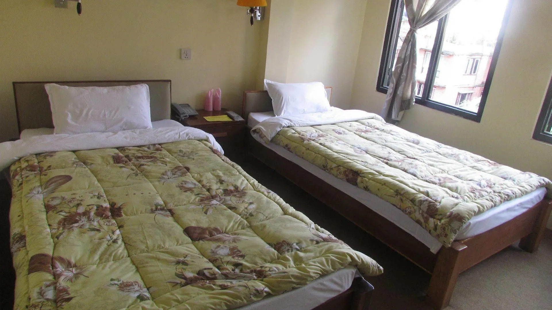 Hotel Zen Holiday 加德满都
