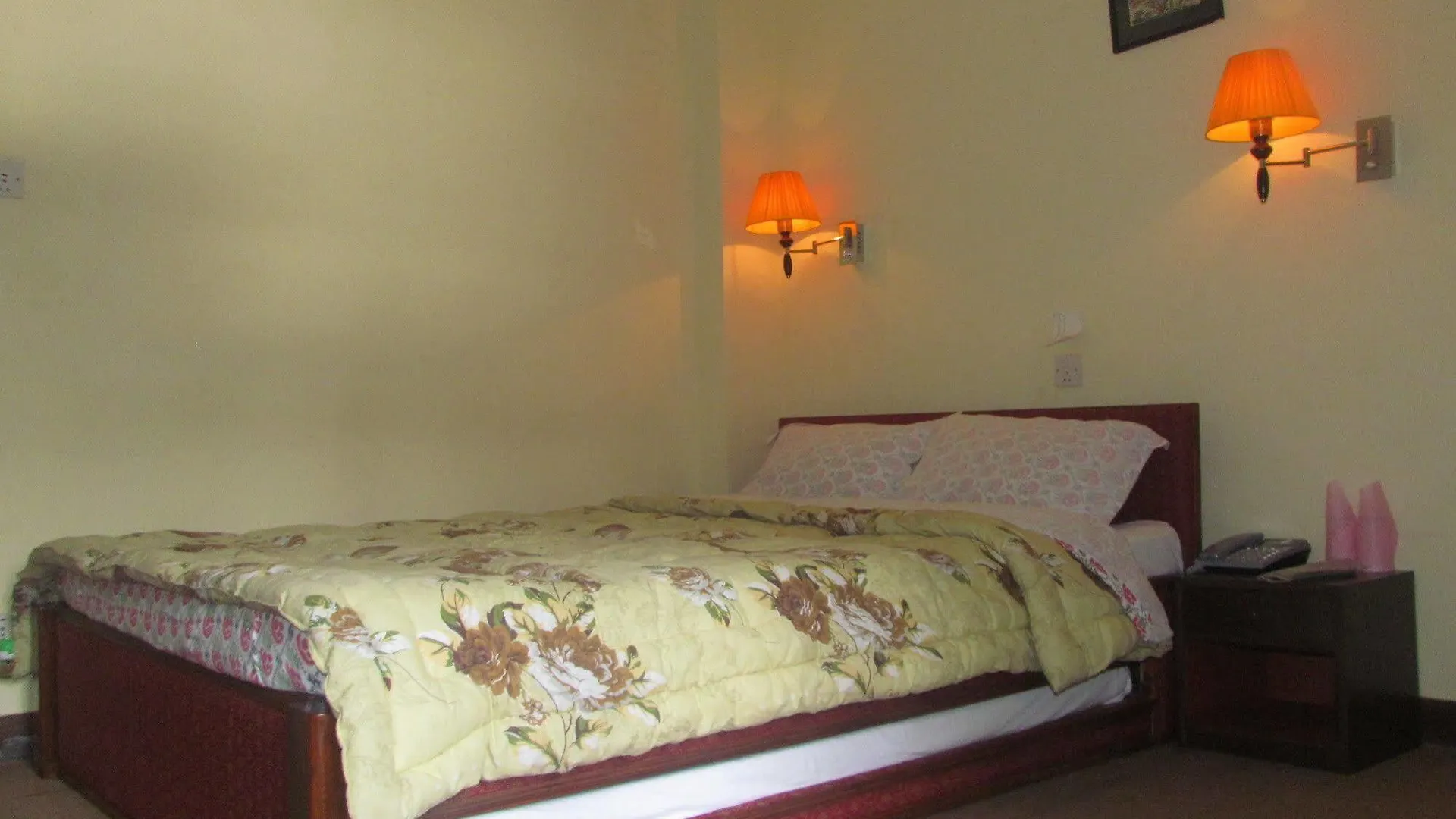 Hotel Zen Holiday 加德满都